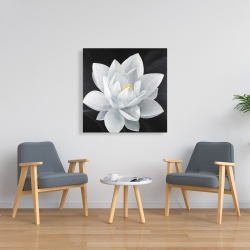Canvas 36 x 36 - Overhead view of a lotus flower