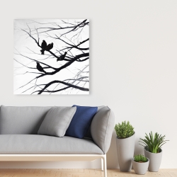 Canvas 36 x 36 - Birds and branches silhouette