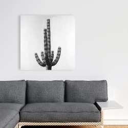 Canvas 36 x 36 - Cactus