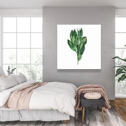 Canvas 36 x 36 - Bay leaves bundle