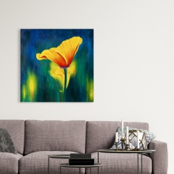 Canvas 36 x 36 - Superb contrast flowers