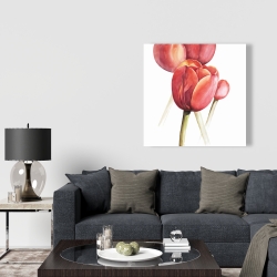 Toile 36 x 36 - Tulipes en fleur