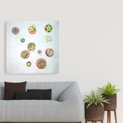 Canvas 36 x 36 - Cactus plants