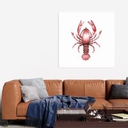 Canvas 36 x 36 - Lobster