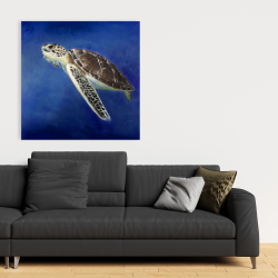 Toile 36 x 36 - Belle tortue de mer