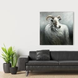 Canvas 36 x 36 - Cashmere goat