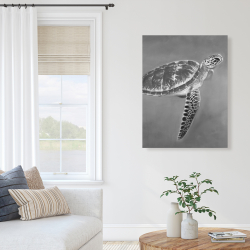 Canvas 36 x 48 - Grayscale aquatic turtle