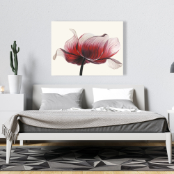 Canvas 36 x 48 - Anemone flower