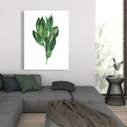 Canvas 36 x 48 - Bay leaves bundle