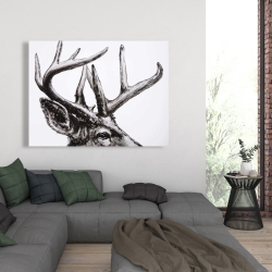 Canvas 36 x 48 - Roe deer plume