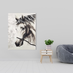 Canvas 36 x 48 - Alpha the white horse