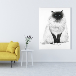 Canvas 36 x 48 - Blue eyes fluffy siamese cat