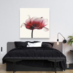 Canvas 48 x 48 - Anemone flower
