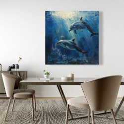 Canvas 48 x 48 - Dolphins