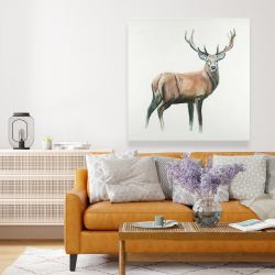 Canvas 48 x 48 - Deer