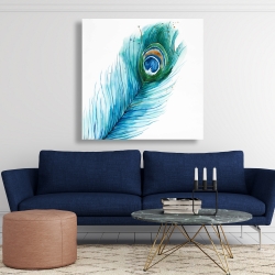 Canvas 48 x 48 - Long peacock feather