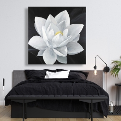 Canvas 48 x 48 - Overhead view of a lotus flower