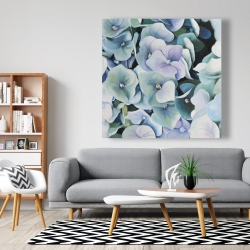 Canvas 48 x 48 - Hydrangea plant