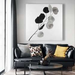 Canvas 48 x 48 - Grayscale branch with round shape leaves