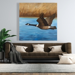 Canvas 48 x 48 - Canada goose