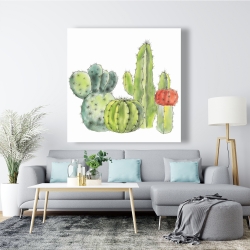 Canvas 48 x 48 - Gathering of small cactus