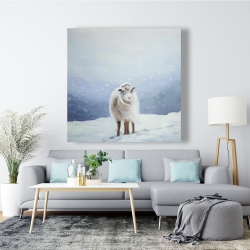 Canvas 48 x 48 - Long hair sheep