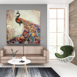 Canvas 48 x 48 - Majestic peacock