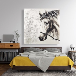 Canvas 48 x 48 - Alpha the white horse