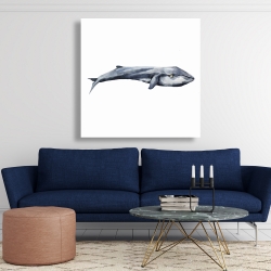 Canvas 48 x 48 - Watercolor whale