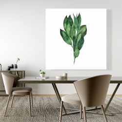 Canvas 48 x 48 - Bay leaves bundle