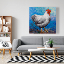 Canvas 48 x 48 - Grey rooster