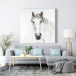 Toile 48 x 48 - Cheval blanc solitaire