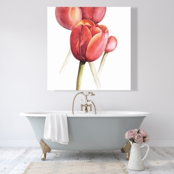 Toile 48 x 48 - Tulipes en fleur