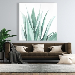 Toile 48 x 48 - Plante d'agave en aquarelle