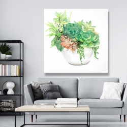 Canvas 48 x 48 - Succulent assortment in a pot