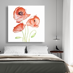 Canvas 48 x 48 - Watercolor poppies