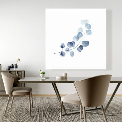 Canvas 48 x 48 - A branch of eucalyptus