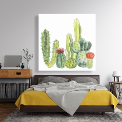 Toile 48 x 48 - Petits cactus