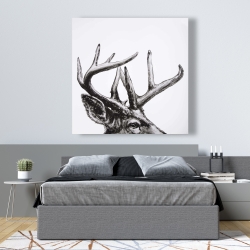 Canvas 48 x 48 - Roe deer plume