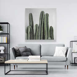 Canvas 48 x 48 - Desert candle cactus