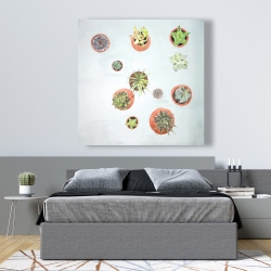 Canvas 48 x 48 - Cactus plants