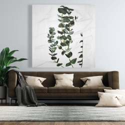 Canvas 48 x 48 - Eucalyptus stems