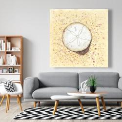 Canvas 48 x 48 - Sand-dollar