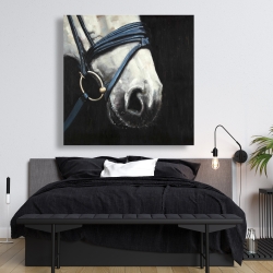 Canvas 48 x 48 - Horse with harness