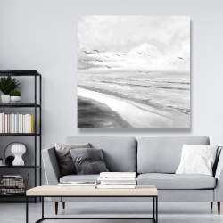 Canvas 48 x 48 - Monochrome tropical sunset