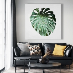 Toile 48 x 48 - Feuille de monstera