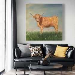 Toile 48 x 48 - Daisy la vache highland