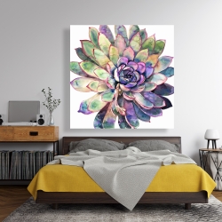 Canvas 48 x 48 - Multicolored succulent 