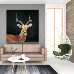 Canvas 48 x 48 - Antelope