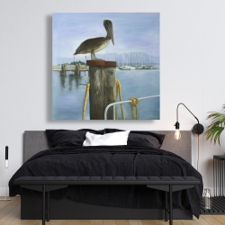 Canvas 48 x 48 - Pelican